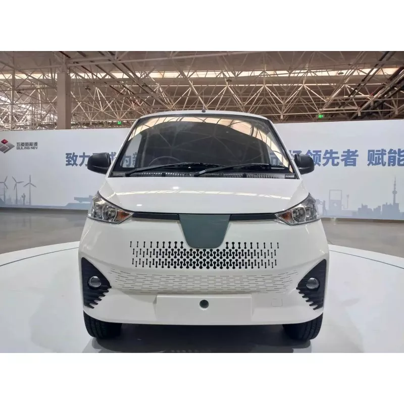 Chì ghjè un Mini Van Elettricu?