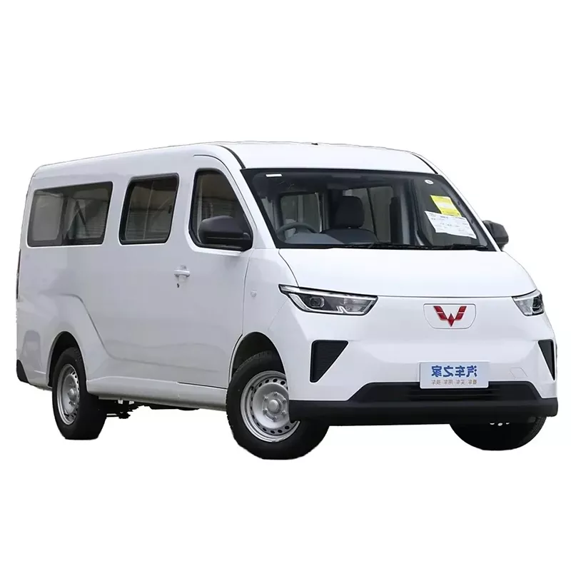 Vincitore Carry Van Van